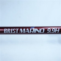 ブリストマリノ９．９Ｈ